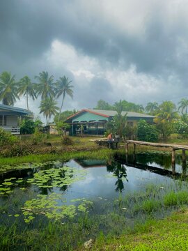 peaceful fisherman in paramaribo