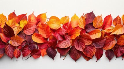 Fototapeta premium A colorful assortment of autumn leaves in vibrant shades of red, orange, and yellow, perfectly capturing the essence of the fall season.