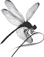 Fly insect silhouette vector art illustration on white background
