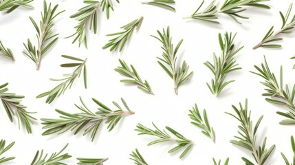 Fototapeta premium Fresh rosemary sprigs pattern. Green rosemary sprigs arranged in a repeating pattern on a white backdrop.