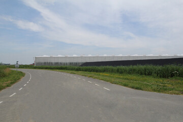 a country road in an area with big glass greenhouses and water basins for growing tomatoes and paprikas 