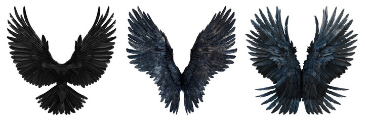 Obraz premium Black wings isolated on transparent background