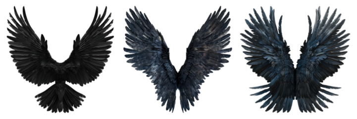 Black wings isolated on transparent background
