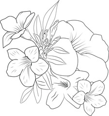 Allamanda cathartica coloring book hand drawn botanical spring elements bouquet of Allamanda cathartica flower line art, coloring page, vector sketch, artistic simplicity doodle art