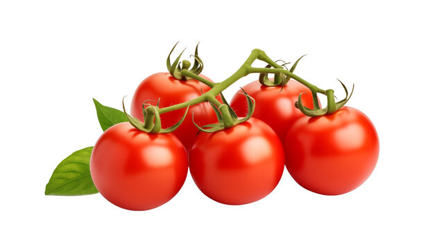 Set of fresh delicious tomatoes with leaves transparent background.