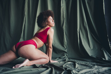 Obraz premium Photo portrait of lovely young lady sexy posing ass dressed red lingerie green studio background no filter self acceptance all body perfect