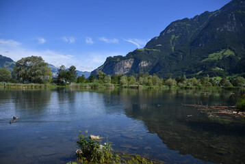 Fototapeta premium Reussdelta Wasser Landschaft