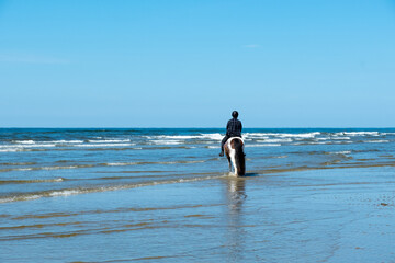 Junge Frau reitet auf einem braun weißen Pferd am Strand