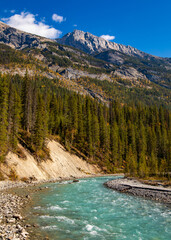 Turquoise river flowing through a forest in the canadian rockies