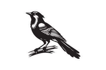 Blue jay Bird Silhouette Vector Illustration