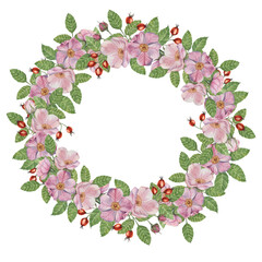 Rosehip round frame template, pink wild rose flowers and leaves. Watercolor detailed botanical...