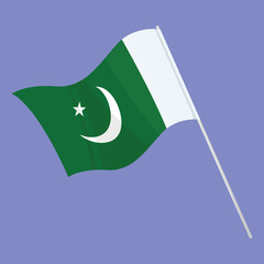 National Flag of Pakistan. Pakistan Flag Vector icon. Independence day of Pakistan flag.