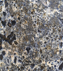 Abstract Texture of Natural Stone with Bubbles and Craters