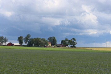 Sweden. Houses in Sweden in the countryside. Ostergotland province. 