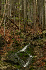 Hutsky waterfall in Krkonose mountains and national park in summer day