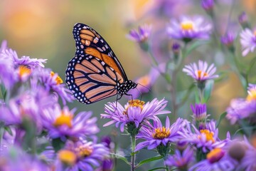 Naklejka premium A butterfly is sitting on a purple flower
