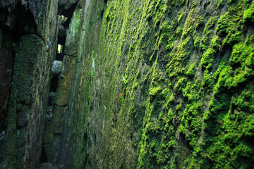 The Hell - rock canyon in Table Mountains, Poland