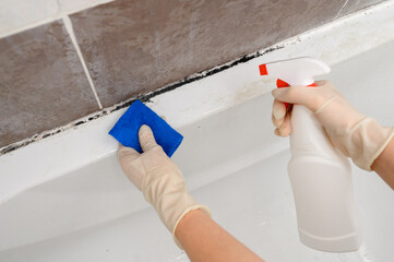 Woman in rubber gloves, employee cleaning company, applies special antifungal anti-mold agent to...
