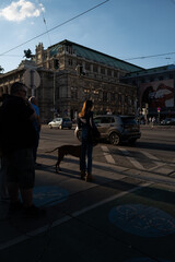 Lady with the dog crossing the road in Vienna, street photography 