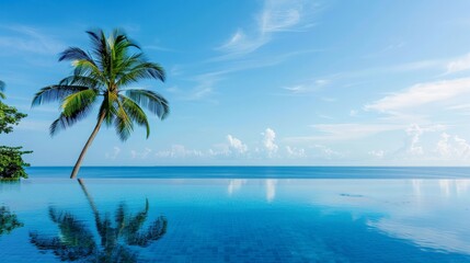 High-definition image of a luxury resort infinity pool overlooking a tropical paradise, placed on a simple backdrop to emphasize the serene and exclusive setting 