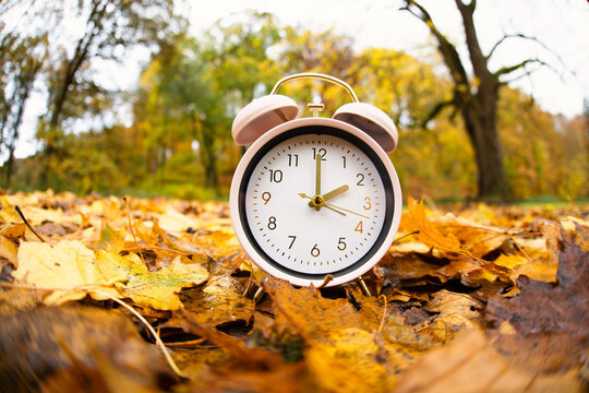 Alarm clock with autumn foliage, end of daylight saving time in fall, winter time changeover
