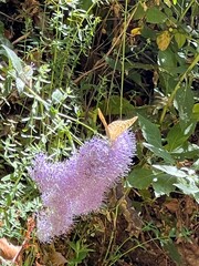 naturaleza sur de España