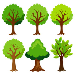 Oak tree vector. Oak tree sets