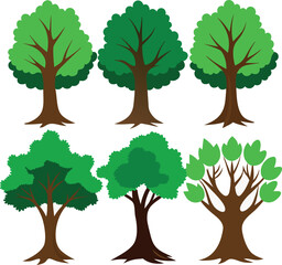 Oak tree vector. Oak tree sets