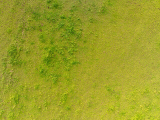 Aerial view of farmland patchwork. Fields with different colors in countryside. Background showing rural area.
