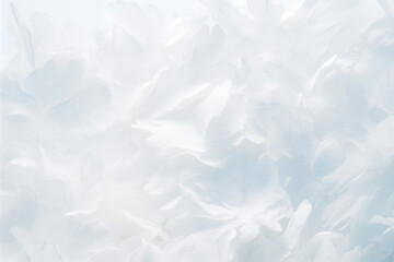Obraz premium Abstract white background with soft feather textures