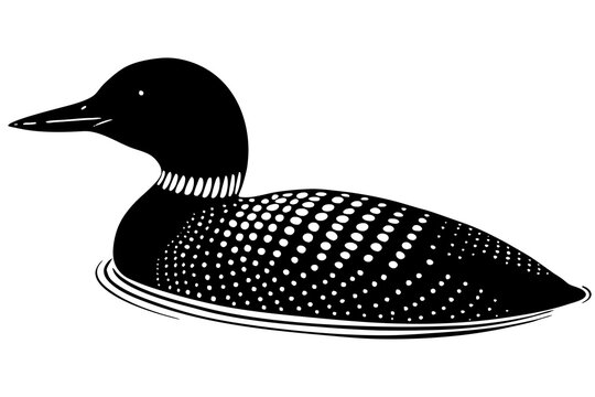 recommend clip art:  Loon bird silhouette lineocut vector illustration