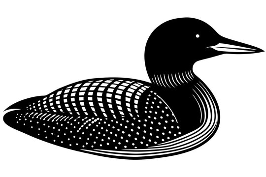 recommend clip art:  Loon bird silhouette lineocut vector illustration
