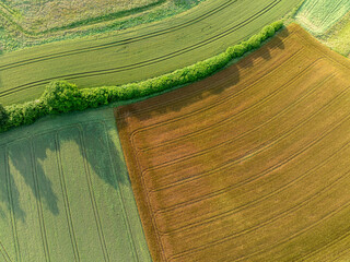 Aerial view of farmland patchwork. Fields with different colors in countryside. Background showing rural area.