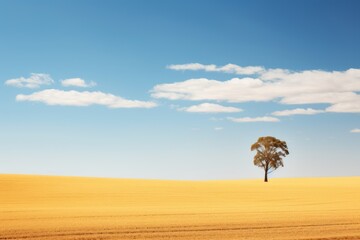 Elegance of Isolation Lone Tree on Open Plain.jpeg