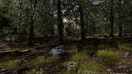 Obraz premium Forest Render