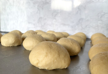 Close up of raw pastry homemade on the metal table.