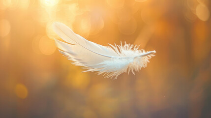 Naklejka premium Feather Hovering in Mid-Air with Peaceful Background
