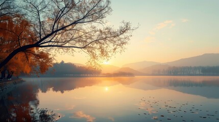 Fototapeta premium Free good morning scene wallpaper background photo