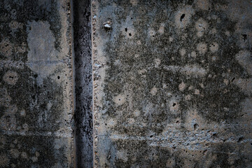 Close-up of a concrete wall covered in green moss and mold.