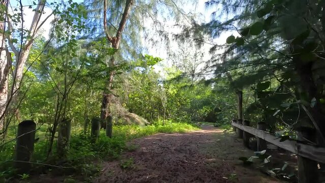 riding a bicycle pov (point of view) in pinones mangrove forest alongside beach (puerto rico nature park between carolina and loiza, Pi&ntilde;ones) biking cycling bike ride travel tourism