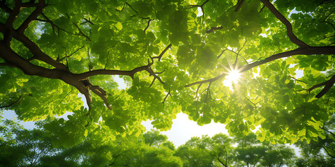 Fototapeta premium Sun shining through green leaves, creating a vibrant and hopeful summer nature scene. 