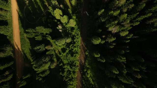 Top down aerial of camper next to creek in St Joe mountains
