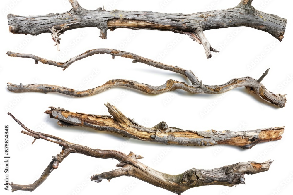 Poster a bundle of tree branches lying flat on a white surface, suitable for various uses such as photograp