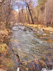 river in autumn forest