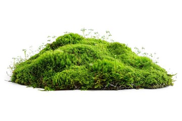 A pile of green moss sits on top of a white surface, ideal for backgrounds and textures