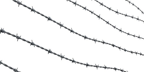 Barbed wire isolated on white background - 3D illustration