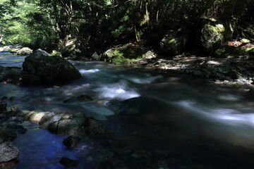 小田深山渓谷　清らかな流れ　夏　(愛媛県）