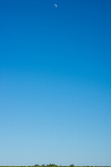 Photo of the moon in the blue daytime sky