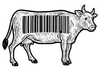 cow with barcode sketch engraving PNG illustration. T-shirt apparel print design. Scratch board imitation. Black and white hand drawn image.