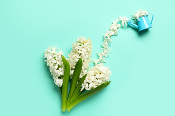 Mini watering can with petals and white hyacinth flowers on turquoise background. Top view